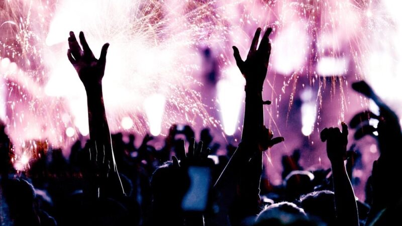 Koncert organowy z Pieterem van Dijkem w Różynach!