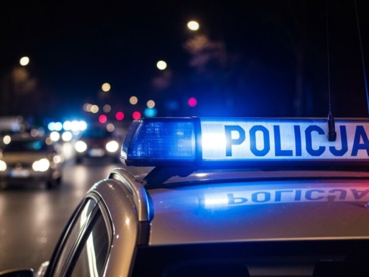 Zatrzymany w Pruszczu Gdańskim poszukiwany za kradzieże w Polsce i Niemczech