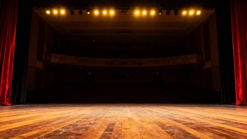 Magiczna podróż do literackiego świata w Pszczółkach