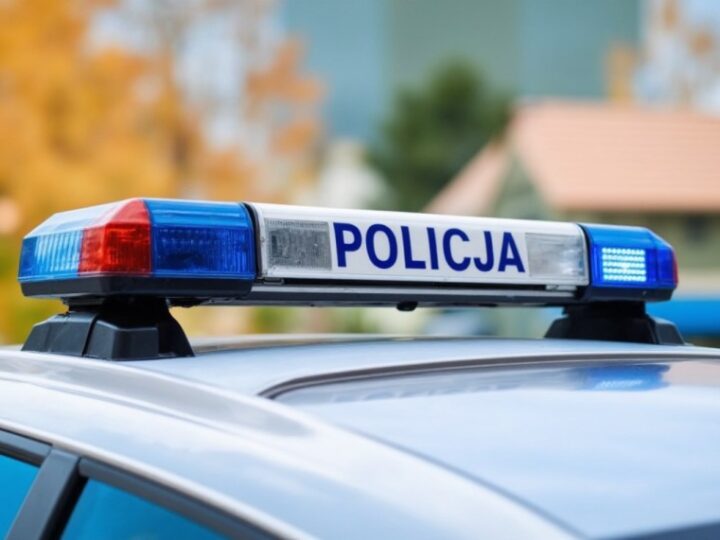 Zatrzymani sprawcy kradzieży kosmetyków i roweru w Kolbudach i Pszczółkach