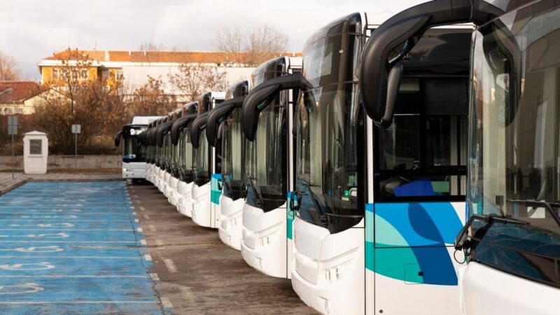 Nowa organizacja komunikacji miejskiej w Pruszczu Gdańskim od 1 sierpnia 2026 roku