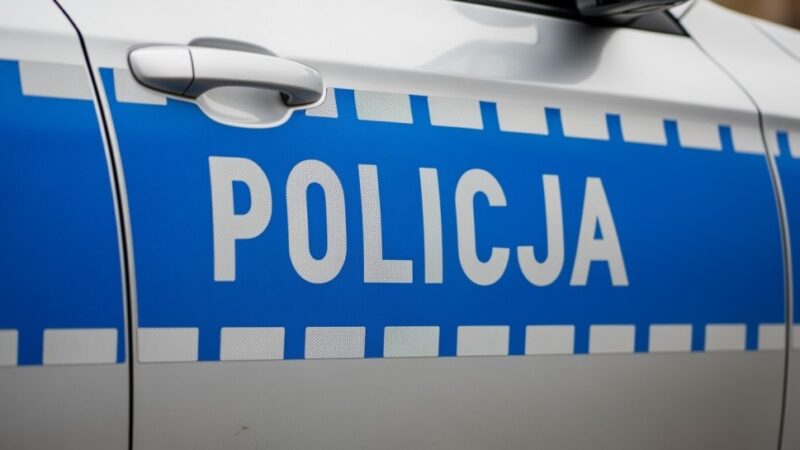Podsumowanie wakacji w powiecie gdańskim: 23 wypadki, 283 kolizje i 67 zatrzymanych