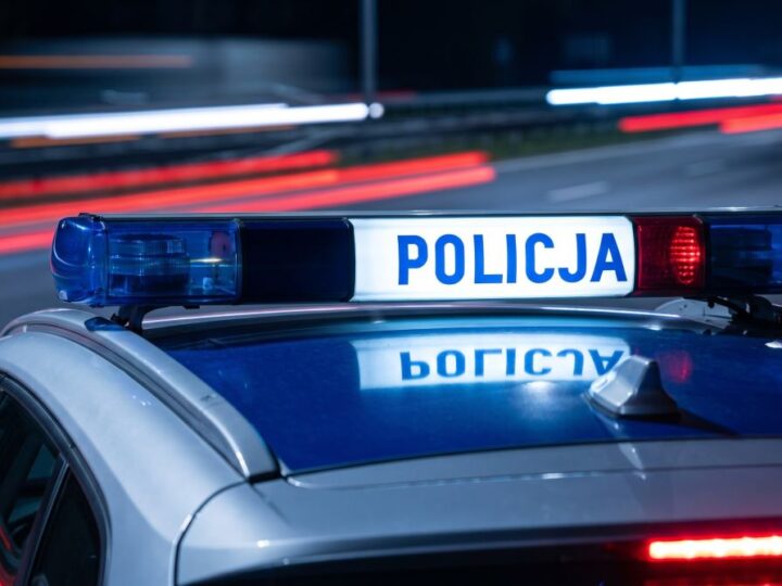Policja schwytała 9 poszukiwanych w Gdańsku