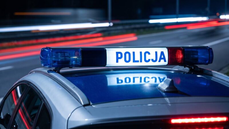 Policja schwytała 9 poszukiwanych w Gdańsku