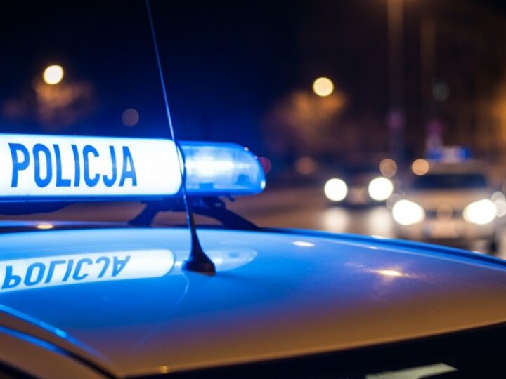Poszukiwany mężczyzna uciekał przed policją, został zatrzymany w lesie